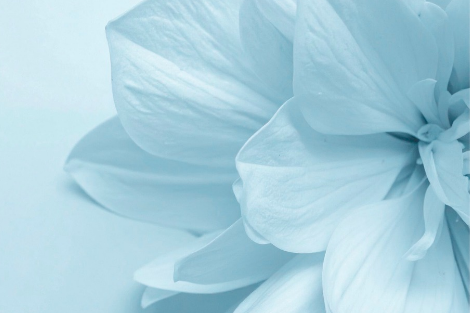 Kutak za iscjelitelje